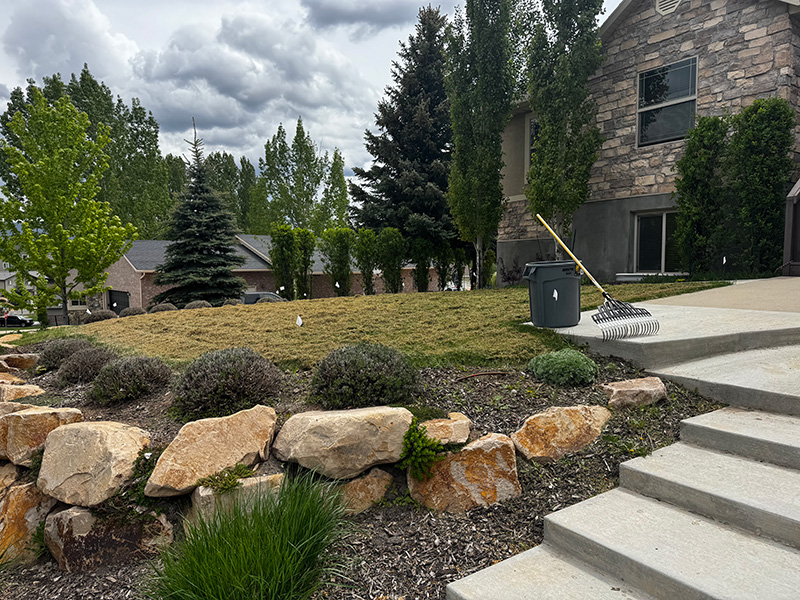 Gallery image 1